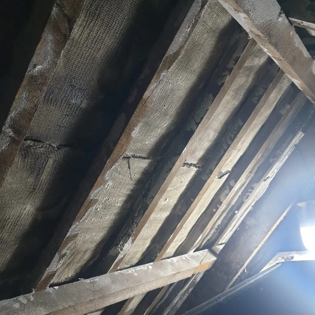 Roof rafters after spray foam removal in a UK loft